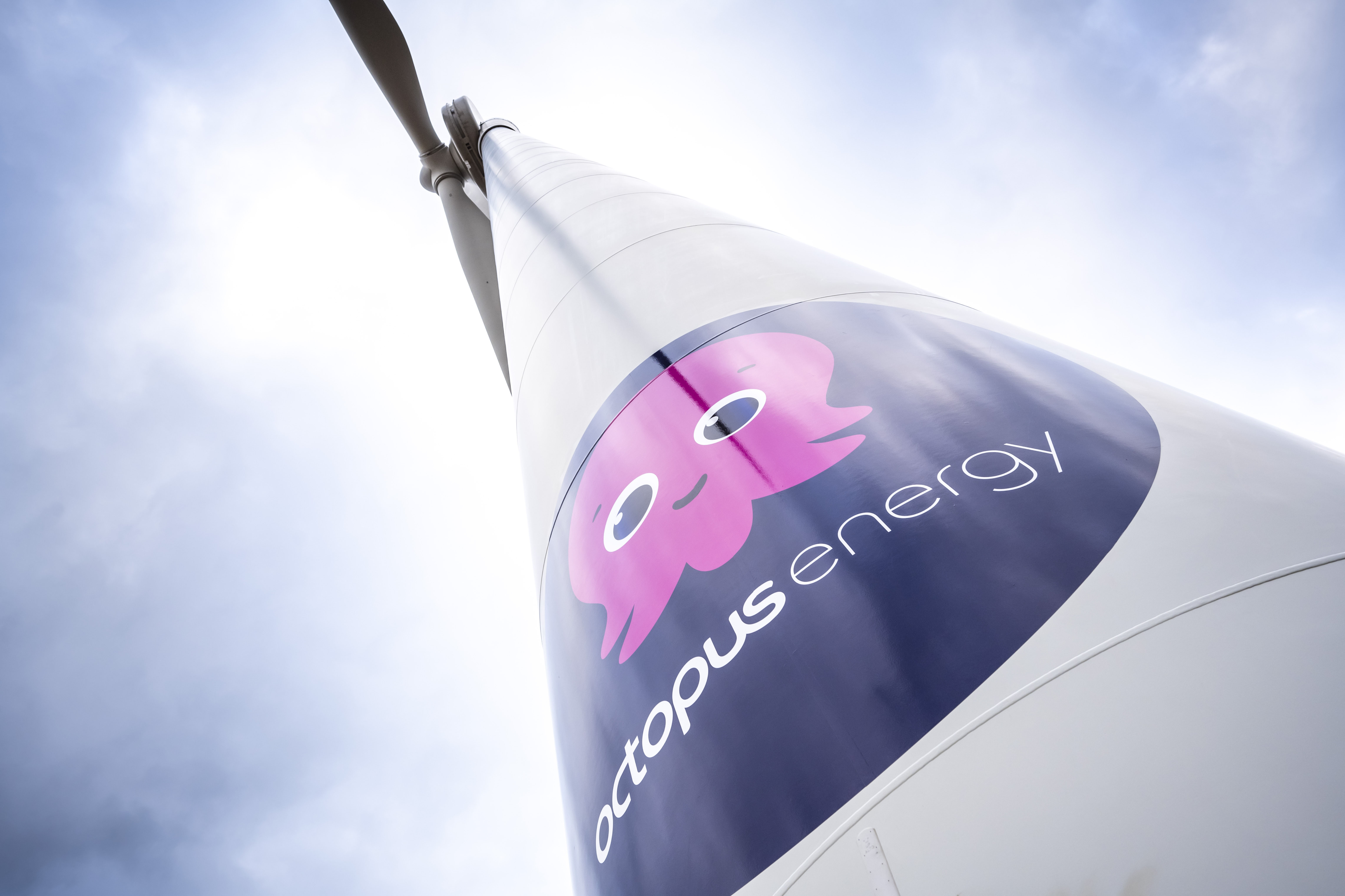 A photo of an Octopus wind turbine